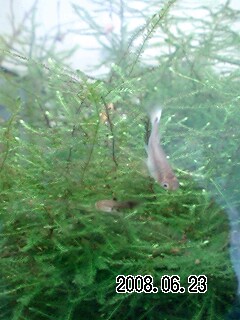 080623_1550~0001.jpg